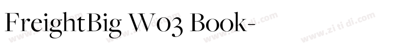FreightBig W03 Book字体转换